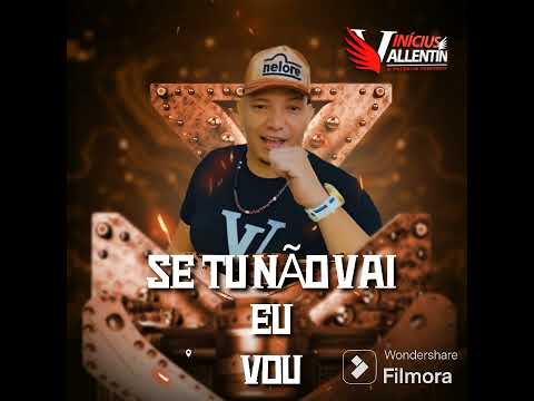 Vinicius vallentim  Se tu não vai eu vou