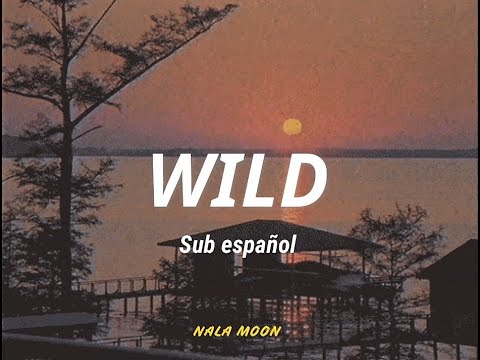 The Avener, Tiwayo - Wild (Sub español)