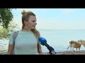 Zwerfafval in de Dordtse Biesbosch komt de spuigaten uit: 'Soms wel 18 zakken vol'