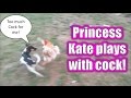 Princess Kate Plays with Cock 