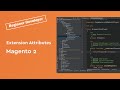 Extension Attributes In Magento 2 Explained