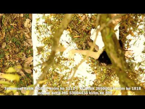 Karenamu "meggie Diaz"