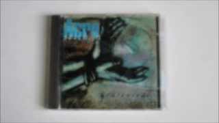 Acrostichon - Snapshot