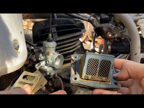 How to replace Yamaha blaster 200 reeds