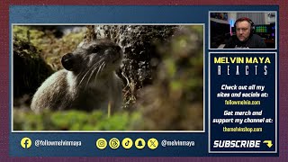 American Reacts To 10 WEIRD animals ONLY found in Canada | V907