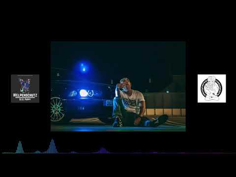 20 Jahre - B.I.G. Puppy feat. Breichle (prod. by Apollo Brown) #4