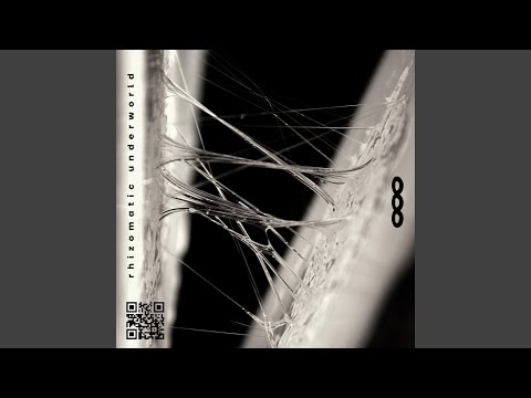 Ritual Under the Rainbow (feat. CinderVOMIT)