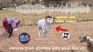 Download lagu AILa_ME Tribute to Asep Darso - Domba Kuring #11 [Ska Punk Ver.] mp3