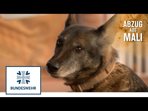 Abzug aus Mali: Feldjäger I Bundeswehr