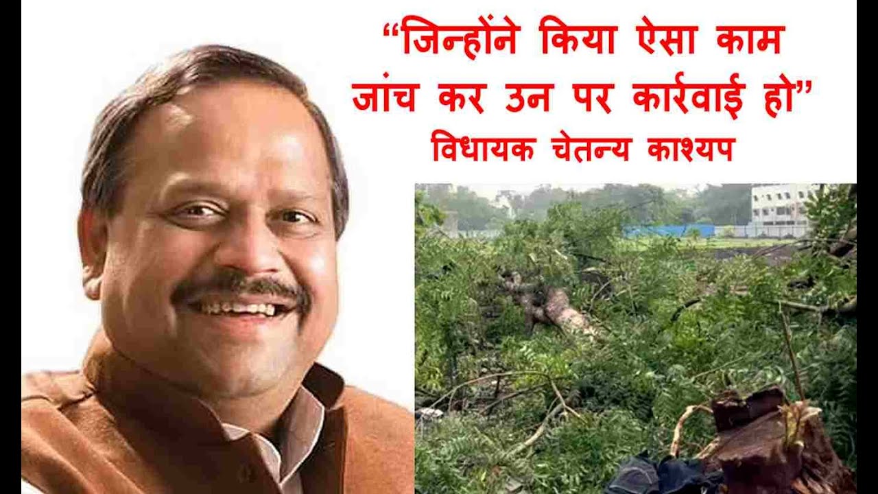 रतलाम में पेड़ कटने को लेकर क्या बोले विधायक चेतन्य काश्यप, जानने के लिए देखें यह वीडियो