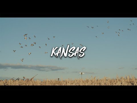 Duck Hunting- Kansas Mallards (40 mallards in 40 Minutes)