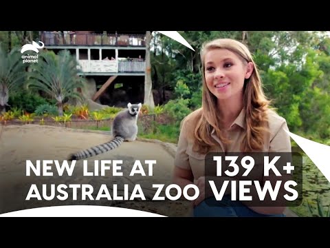 Bindi’s Dream Sanctuary Comes Alive | Crikey! It's The Irwins S1 E5,8,9,10 | Animal Planet