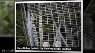 preview picture of video 'Otway Fly Tree Top Walk - Victoria, Australia'