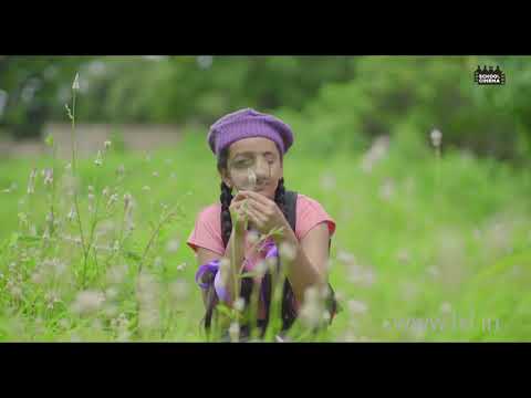 Apples and Oranges   School Cinema