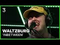 Waltzburg live met 'Inbetween' | 3FM Live Box | NPO 3FM