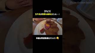 【飯テロ】チェコで食べた生牛肉の「タルタル」が美味しすぎてビール止まらんw #プラハ観光 #チェコ料理 #shorts