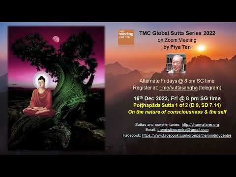 TMCGSS-24 Potthapada Sutta 1/2 (D 9, SD 7.14) | Nature of consciousness & the self. Piya Tan 221216