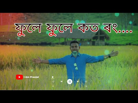 Phule Phule Koto Rong // Zubeen Garg & Shashwati Phukan // Priya Milan // Assamese Old Song (256k)