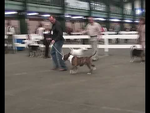 activior grand finale comprimat.avi