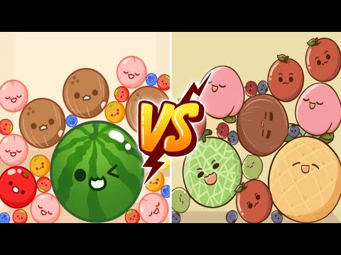 Melon Maker vs Fruit Fusion Fun (Watermelon Game) Fruit Merge Suika Game
