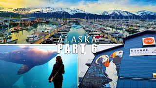 24 Hours in Seward Alaska: Harbor 360 Hotel, Firebrand BBQ, Sealife Center (Alaska Part 6)
