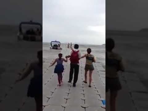 13 Incredible Stops on a Pacific Coast Highway Road Trip