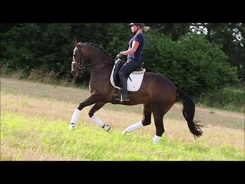 3j Foundation x San Amour Wallach