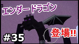 【初心者・マイクラ】ラスボス・エンダードラゴン