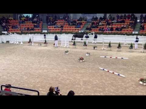 Körung Neumünster Freispringen Söl´rings Cadeau Noir 08 02 2014