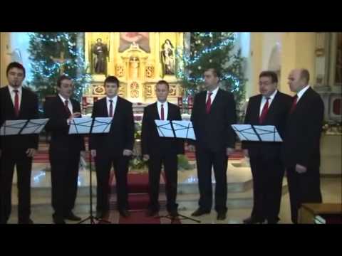 Klapa Slavonica - Diva Mati