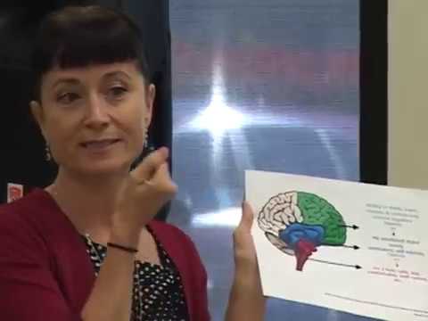 "Child trauma, clinical ethics and political advocacy" -  Patricia Costales - 3/9/17