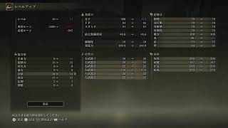 アドバイスがほしいエルデンリング　#1