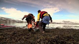 Arctic awakening in Norway