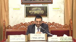 הרב אלון עטיה |  פרשת תרומה תשפ'ד