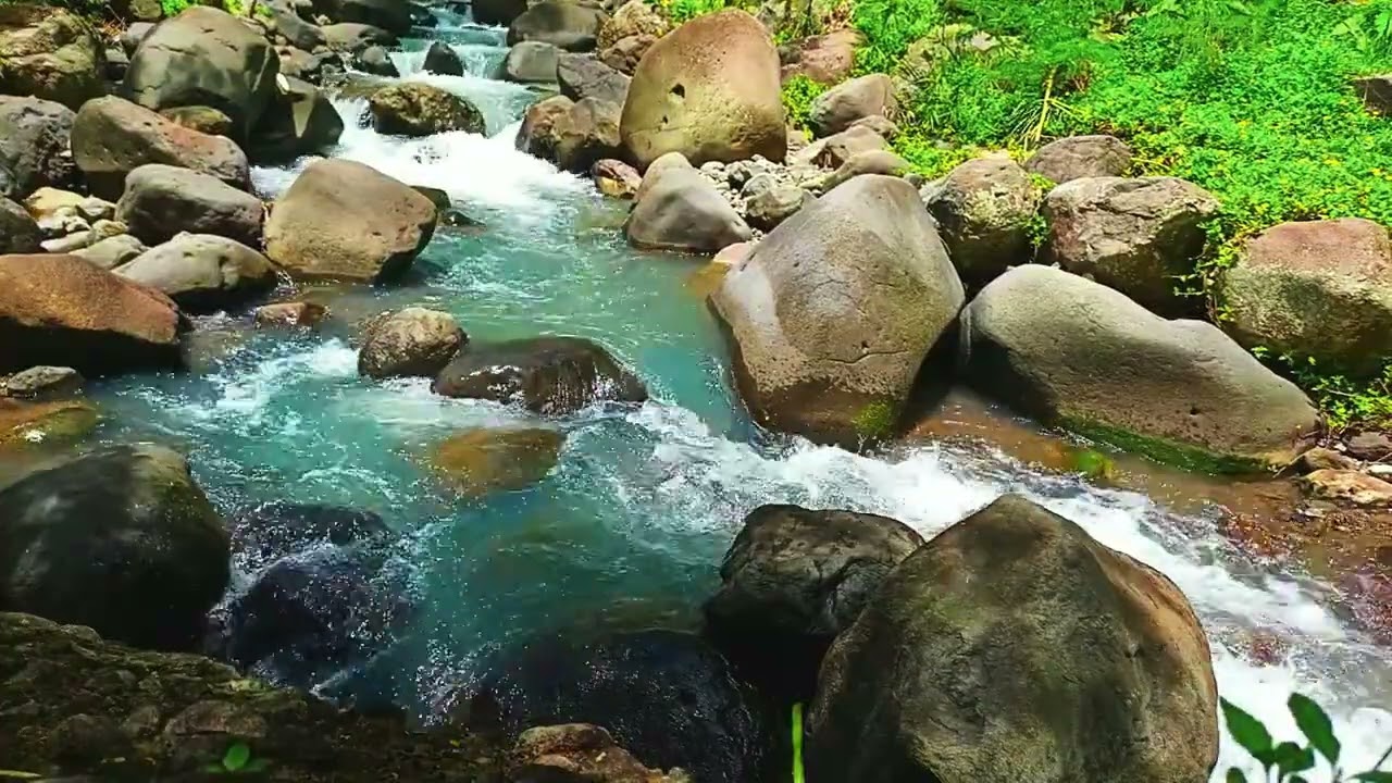 Forest River Meditation for Deep Sleep River meditation Sound of Gentle Water Flow Natural stream