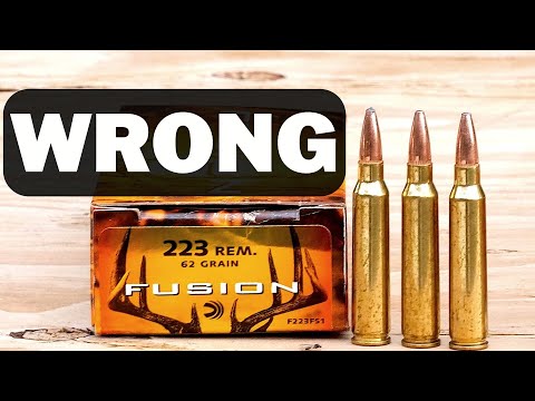 Wrong About The 223 Remington
