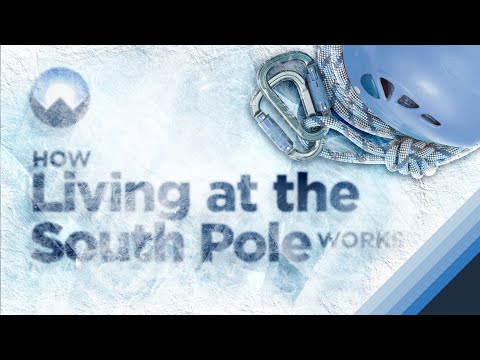 image-Does anything live in the South Pole?