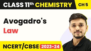 Class 11 Chemistry Chapter 5 | Avogadro's Law - States of Matter | Class 11 Chemistry CBSE/NCERT