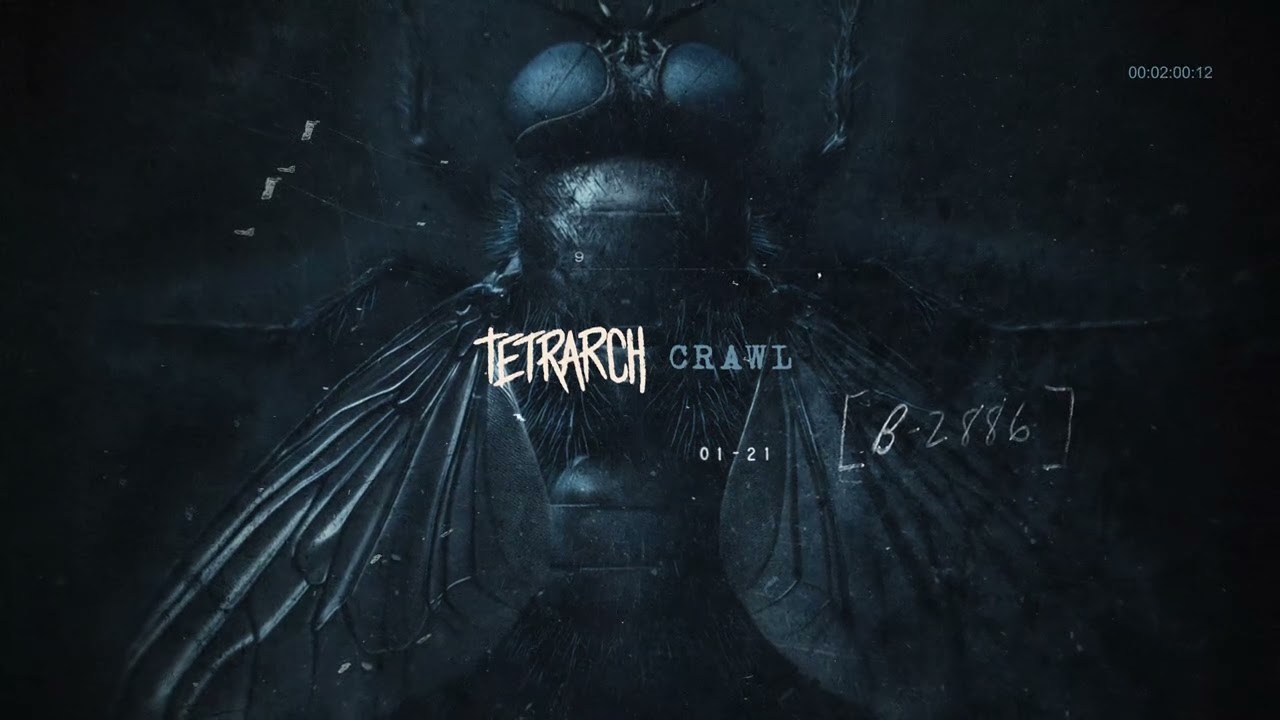 TETRARCH - Crawl (Official Visualizer) - YouTube