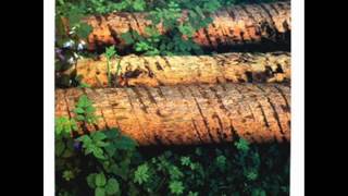 Force Fed - Burn My Back