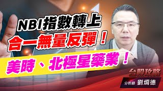 NBI指數轉上，合一無量反彈！美時、北極星藥業！｜台股攻略｜劉烱德 (圖)