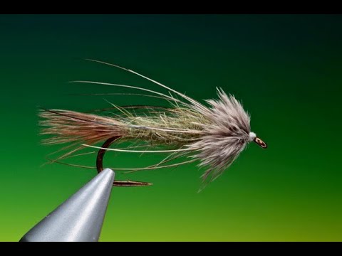 Jack Gartside Sparrow