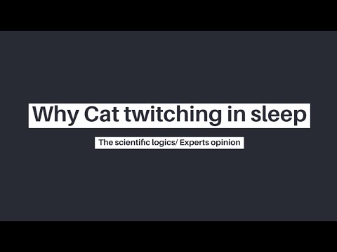 WHY CAT TWITCHING IN SLEEP THE SCIENTIFIC LOGICS\EXPERTS OPINION