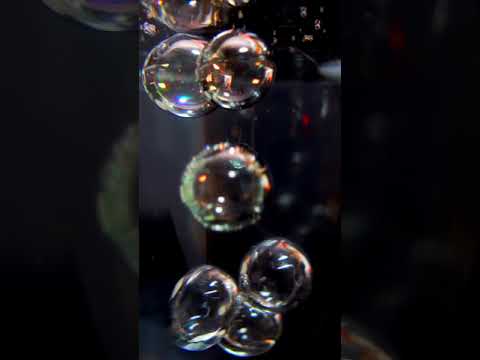 2つのバブルか、それともダブルバブルか?