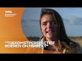 Jonge boeren staan niet te trappelen om familiebedrijf over te nemen: 'Geen toekomstperspectief'