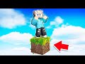 Minecraft ABER Auf EINEM REALISTISCHEN BLOCK