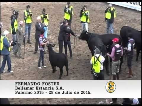 28-07-15 Fernando Foster ( Cabaña Bellamar Estancia S.A. ) - Palermo 2015.
