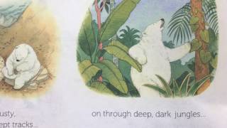 A Flower in the Snow Read A Loud