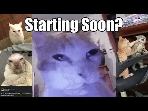 Neon Divide: S4 Session 1 | Wes POV