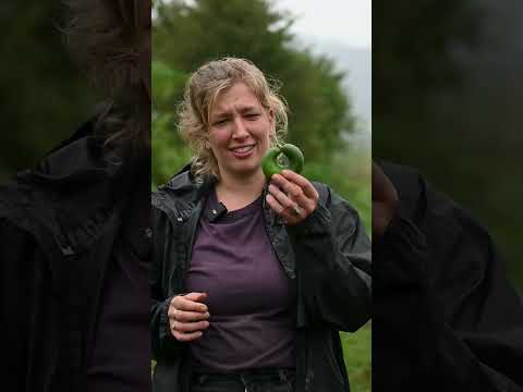 Olde Vechte - What can social gardening teach me? | Active Collective